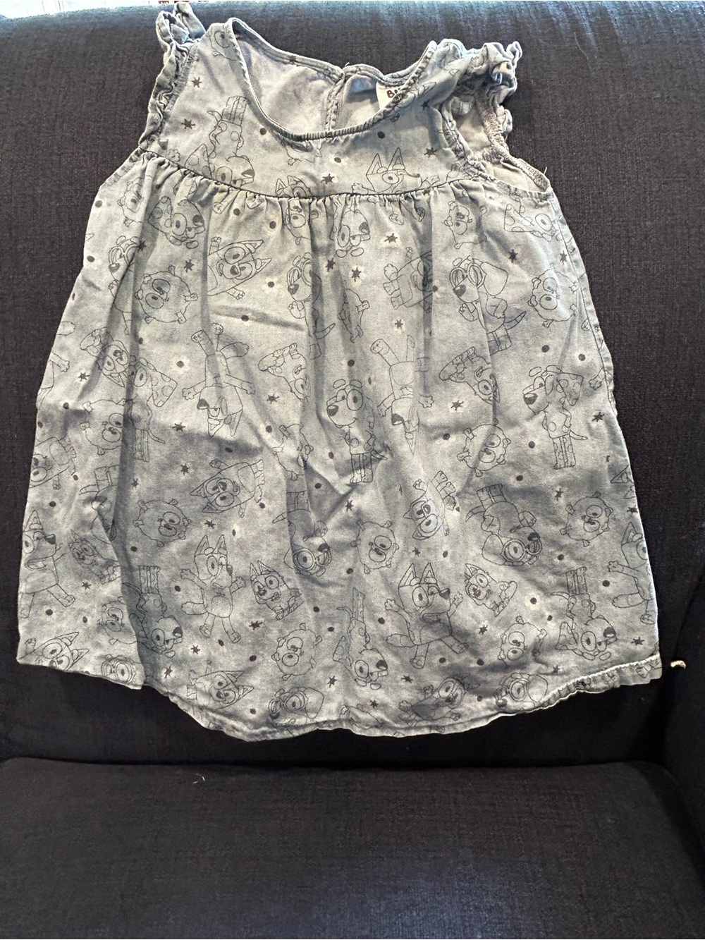 Bluey Girls' Light Blue A-Line Dress with Character Print